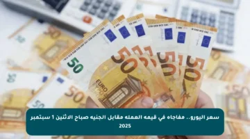 سعر اليورو.. مفاجأة في قيمة العملة مقابل الجنيه صباح الاثنين 1 سبتمبر 2025